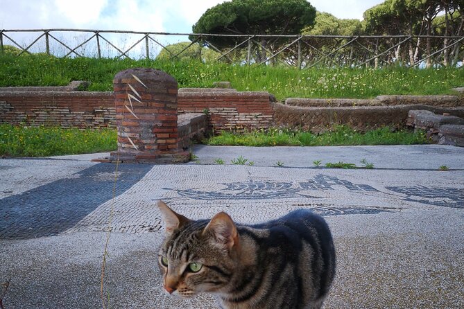 Ostia Antica Archaeological Park with Italian Gelato - The 2-hour park walk: what you actually see