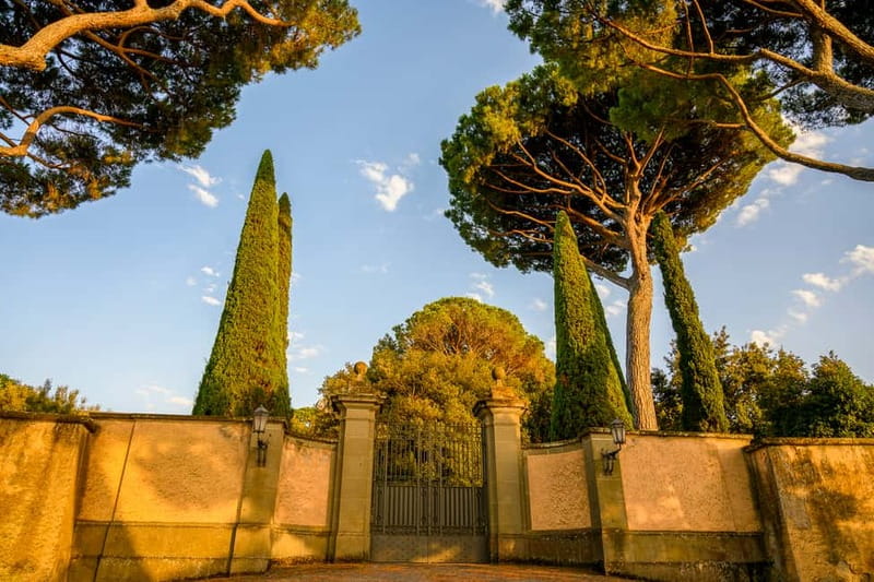 Papal Palace and Secret Garden Ticket and Audio Guide - Logistics that matter: timing, meeting point, and getting around