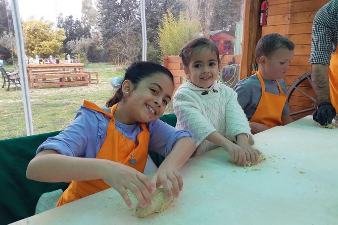 Pasta and Pizza Master Class and Tiramisu tasting - Transportation and Timing: Plan a Realistic Half-Day