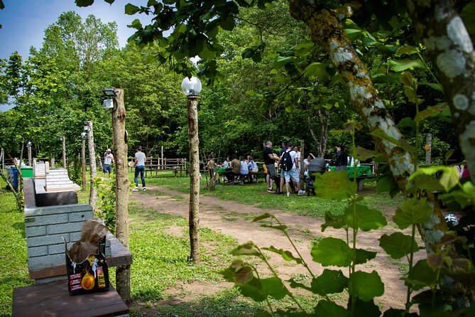 Picnic Area with Barbecue Equipment in Capranica (VT) - Casa Trialart Picnic Area in Capranica: The Barbecue Day Trip Model Done Right
