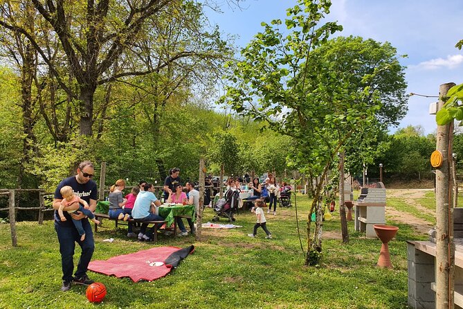 Picnic Area with Barbecue Equipment in Capranica (VT) - Barbecue and Seating Setup: Why This Feels Built for Groups