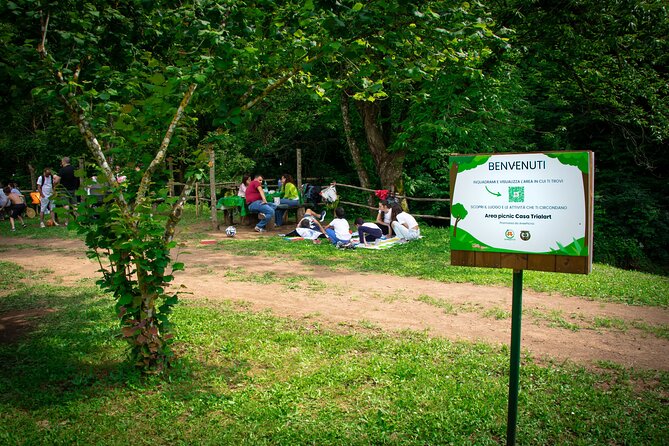 Picnic Area with Barbecue Equipment in Capranica (VT) - Families and Pets: Comfort Details That Actually Matter