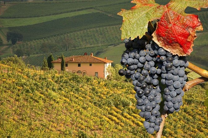 Pienza and Montepulciano by Tuscan Hills from Rome Private Tour - Leaving Rome Without Losing Your Whole Day