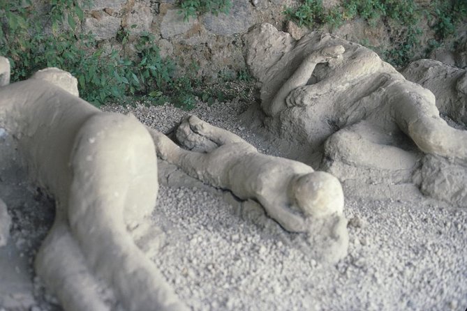 Pompeii and Mount Vesuvius Day Trip from Rome with Pizza Lunch - Value for $90.70: what you’re really paying for