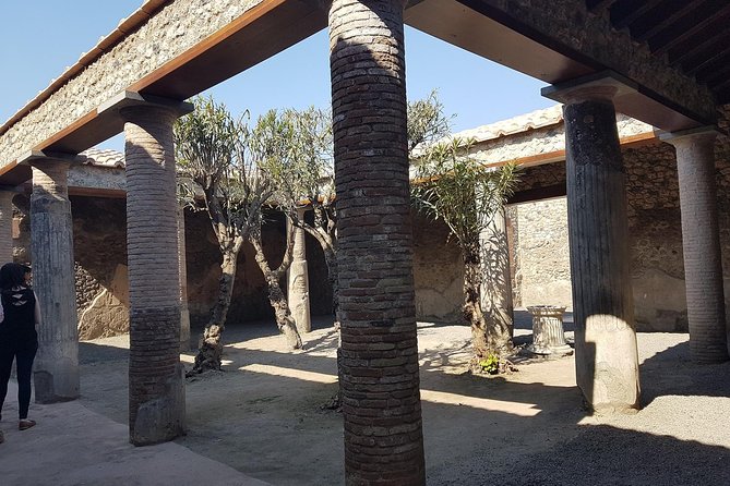Pompeii and Naples From Rome: Private Full-Day Tour with Lunch - Piazza del Plebiscito and pizza: the Naples break that keeps the day human