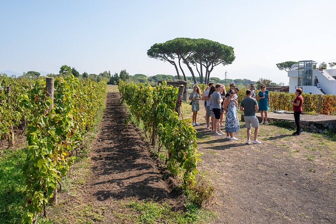 Pompeii and Naples From Rome: Private Full-Day Tour with Lunch - Centro Storico walk: UNESCO World Heritage vibes, done efficiently