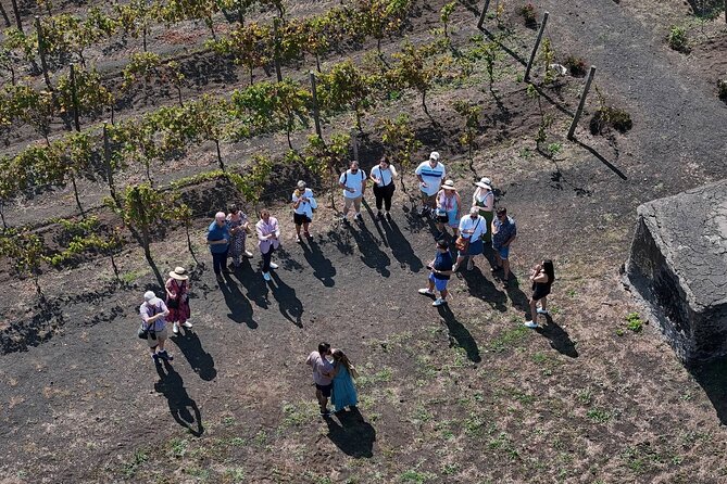 Pompeii and Naples From Rome: Private Full-Day Tour with Lunch - Optional Cathedral and San Gennaro relics: if this matters to you, ask
