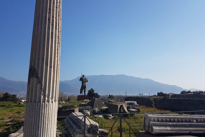 Pompeii and Naples From Rome: Private Full-Day Tour with Lunch - Pompeii with a 2-hour official guide: the best way to avoid feeling lost