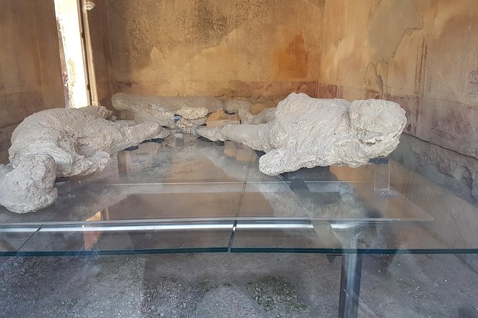 Pompeii and Naples from Rome: Small Group Day Tour with Lunch - Lunch and wine tasting at an organic farm: the calm break
