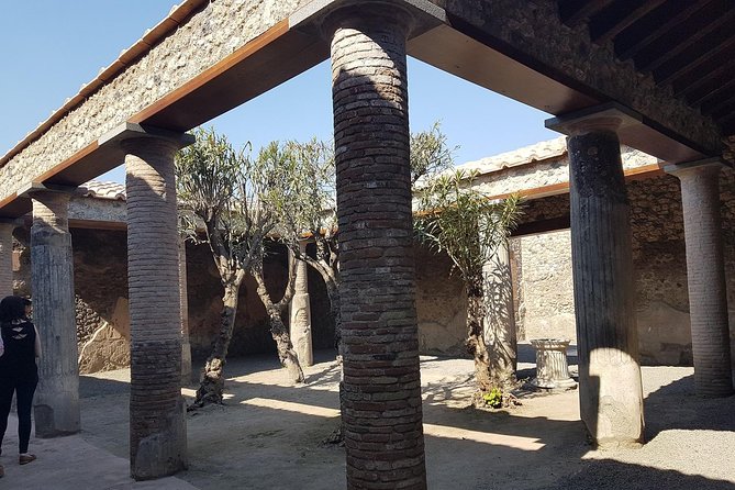 Pompeii and Naples from Rome: Small Group Day Tour with Lunch - Piazza del Plebiscito tastings: Neapolitan flavors with context