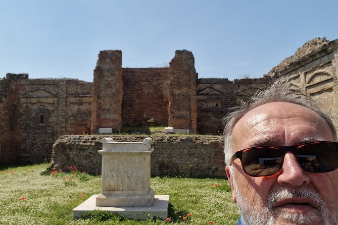 Pompeii and Sorrento Private Day Tour from Rome - Who this Pompeii and Sorrento private tour fits best