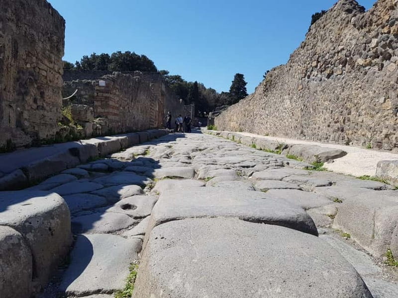 Pompeii: Entry Ticket w/ Guide and Transfers or Audio Guide - Ticket Options: Guide vs Audio for Pompeii’s 79 AD Story