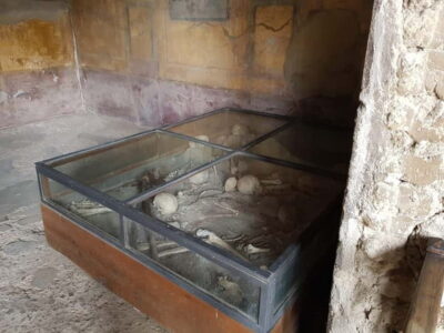 Pompeii: Entry Ticket w/ Guide and Transfers or Audio Guide - Rome Transfers: Bus or Train Without the Timing Guesswork