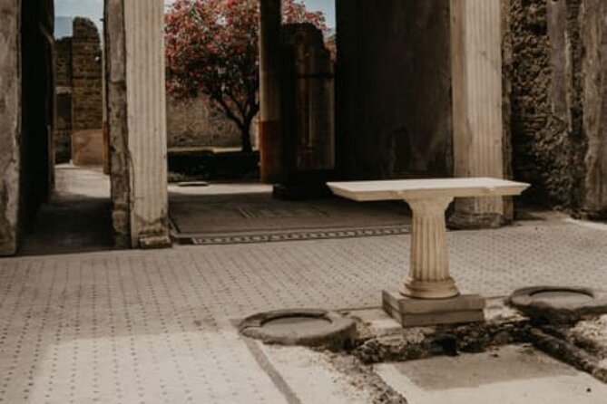 Pompeii Guided Tour with Train Included from Rome - Pompeii by Train: Fast Access from Roma Termini