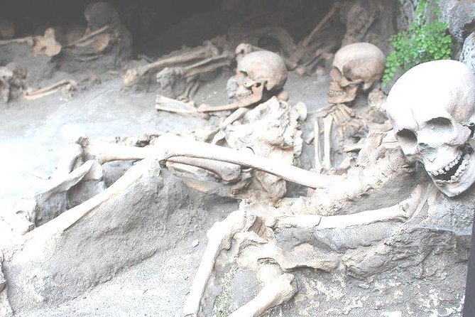 Pompeii & Herculaneum Trip from Rome with Hotel Pick Up & Skip-the-Line Tickets - Price and Value: Is $887.97 Per Person Reasonable?