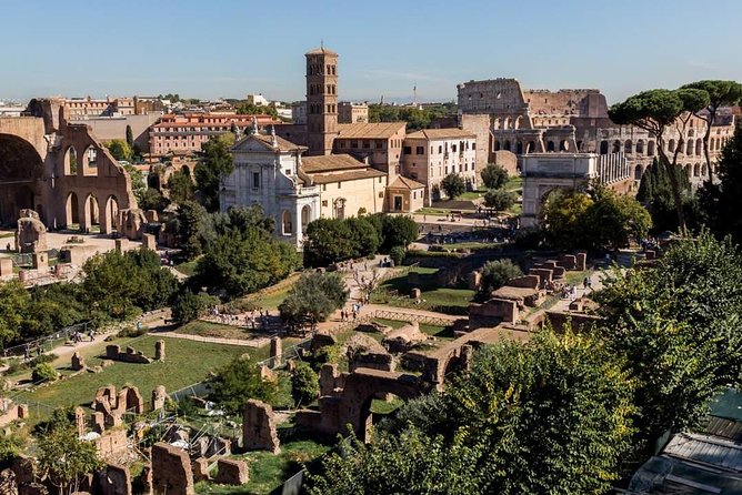 Post-Cruise Private Tour from Civitavecchia Port to Rome - Vatican Museums and Sistine Chapel: Tickets Included, Plan for Focus