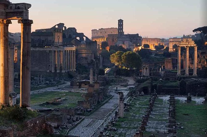 Premium Colosseum, Palatine Hill & Roman Forum Private Tour - Roman Forum: where your guide can make or break the vibe