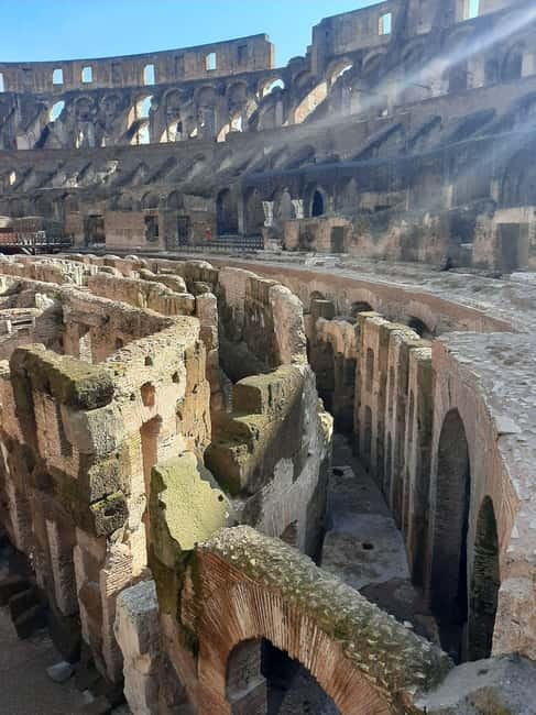 Private 1.5-Hour Family-Friendly Tour of the Colosseum - Price and value: is $225.44 per person worth it?