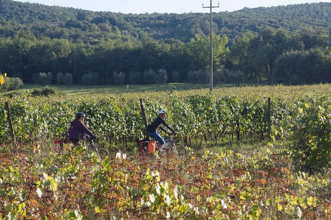 PRIVATE Civita di Bagnoregio and Orvieto Wine Tasting -Ebike tour - The wine cellar dinner: the payoff meal in Orvieto