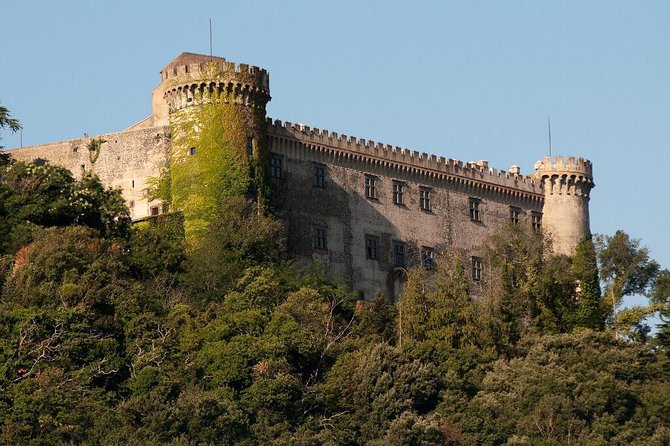 Private Day Trip from Rome: Bracciano Lake and Surrounding Areas - What your driver actually does (and what you do yourself)