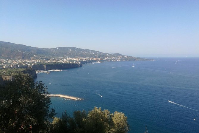Private Day Trip from Rome to Amalfi Coast and Ruins of Pompeii - Sorrento vs. Positano: choosing the coast stop wisely