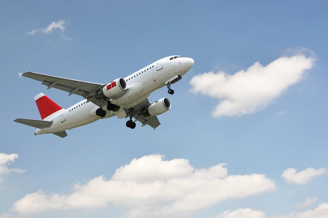 Private Departure Transfer: Hotel to Rome Fiumicino Airport - Key Points to Know Before You Go