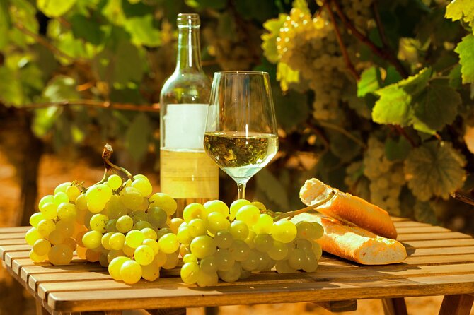 Private Double Wine Tasting Tour in Frascati - Exclusive - Key Highlights You’ll Actually Feel