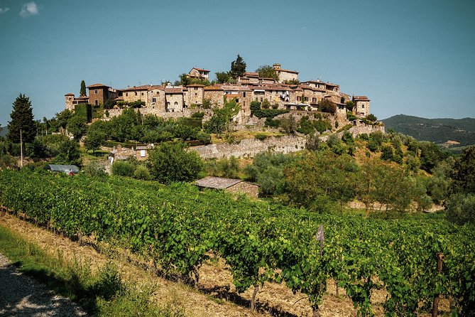 Private Experience Tuscany Tour from Rome - Price and Logistics: What You’re Really Paying For