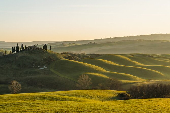 Private Experience Tuscany Tour from Rome - Wine Tasting with Appetizer: How to Enjoy It Without Feeling Rushed