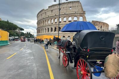Private Full Guided Tour of Colosseum Roman Forum & Palatine Hill - Stop 1: Colosseum in one hour with real context (and less waiting)