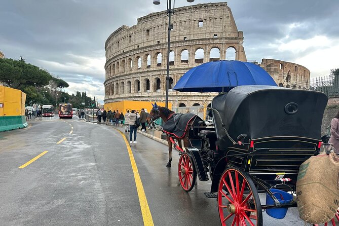 Private Full Guided Tour of Colosseum Roman Forum & Palatine Hill - Stop 1: Colosseum in one hour with real context (and less waiting)