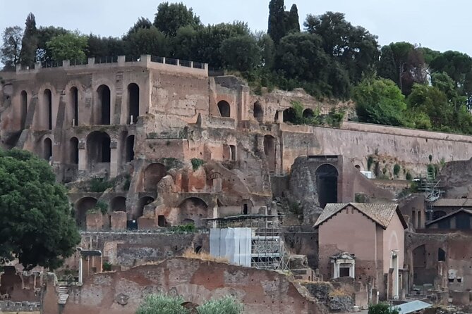 Private Immersive Colosseum Tour - Entering The Colosseum: Skip the Line, Then Go Deeper