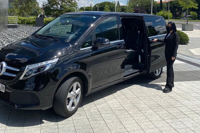 Private one way Transfer from/to Rome to/from Civitavecchia - Pickup game plan: how you’ll find your driver (and avoid the headache)