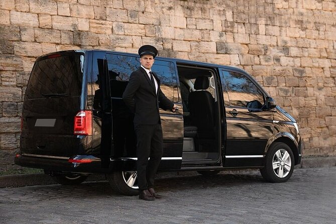 Private One way Transfer Rome Fiumicino Airport to Rome - The meet-and-greet moment at arrival