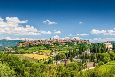 Private Orvieto Daytrip from Rome with Winery Visit - Hotel Pickup and the Private-Driver Advantage From Rome