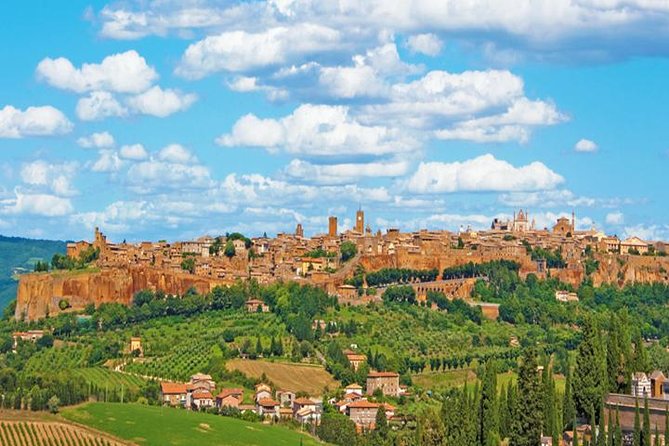 Private Orvieto Daytrip from Rome with Winery Visit - Underground Detour at Pozzo De San Patrizio: Fun for Some, a No-Go for Others