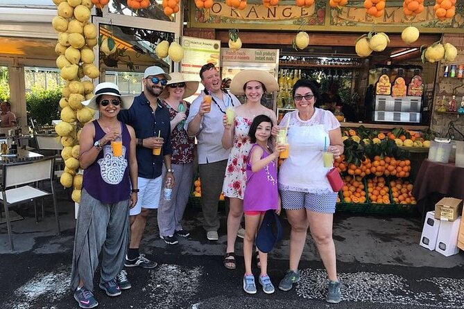 Private Pompeii, Positano & Amalfi coast Tour from Rome - Price and Value: What $1,071.63 Can Buy You Here