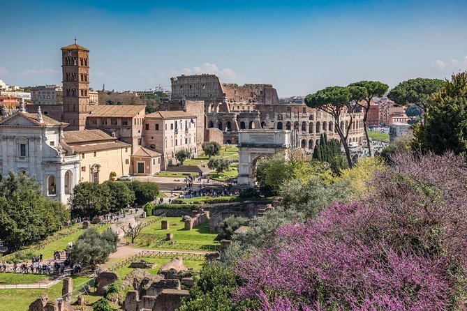 Private Rome in a Day Tour with Colosseum & Sistine Chapel: Essential Experience - A full-day route from the Colosseum to St. Peter’s