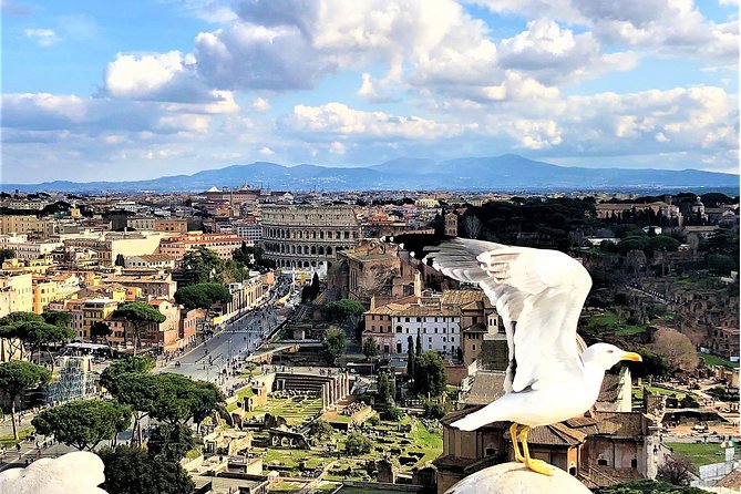 Private Rome WOW Tour in 1 Day: Luxury Car, Guide, Tkts & Lunch! - Pickup in central Rome (and how not to lose time before you even start)