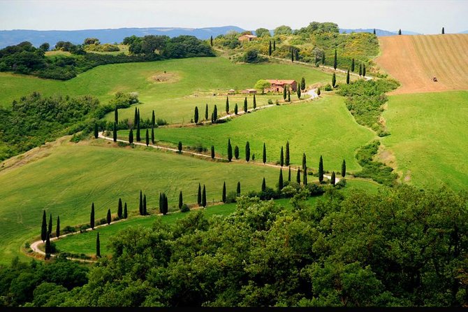 Private Siena and San Gimignano Tour with Wine Tasting From Rome - The Driving Schedule: How the 11 Hours Actually Play