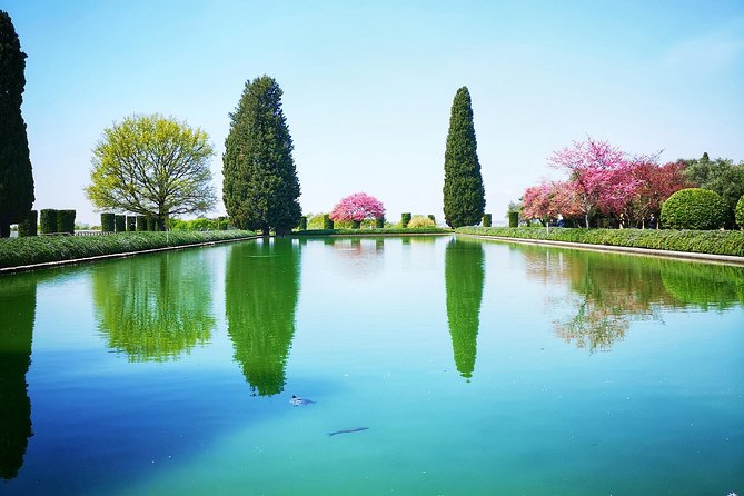 Private Tivoli Day Trip from Rome: Outstanding Villas - Guides who actually explain what you’re seeing