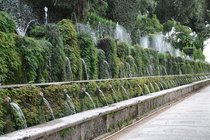Private Tivoli: Hadrian's Villa and Villa d'Este with Pick-up from Rome - Private guide experience: what “good” looks like