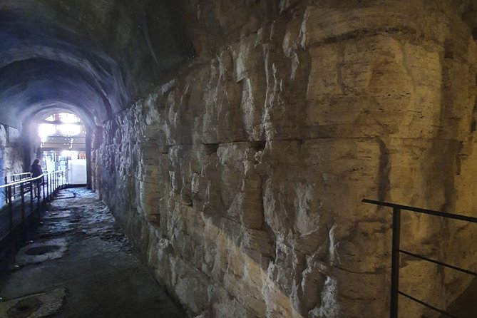 Private tour Colosseum Underground & Ancient Rome - Roman Forum: Turning Ruins Into Politics You Can Follow