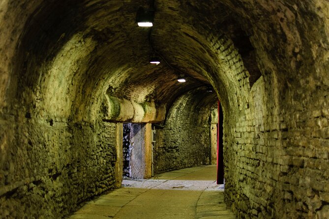 Private tour Colosseum Underground & Ancient Rome - What Private Guiding Does Best at These Sites