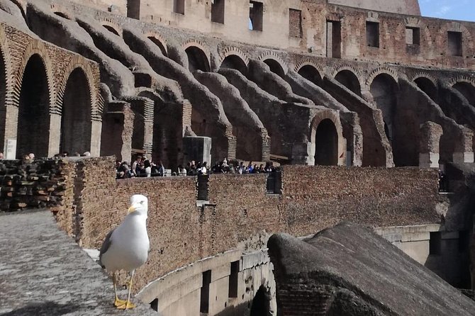 Private tour of Colosseo - Meeting the guide at Piazza del Colosseo (and starting on the right foot)