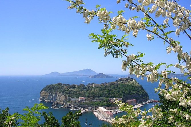Private Tour of the Amalfi coast from Rome - Positano at Positano Paradise Lounge Bar: 1 Hour, No Rushed Feeling Required