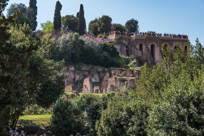 Private Tour of the Colosseum with Roman Forum & Palatine Hill - Stop 2: Roman Forum Highlights from Saturn to the Flavian Palace