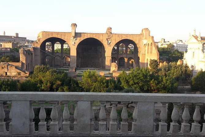 PRIVATE TOUR, with archaeologist: Colosseum, Palatine Hill, Roman Forum. - Meeting point at Piazza del Colosseo and the ID/ticket reality