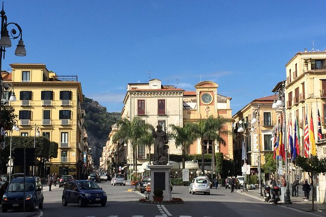 Private Transfer from Rome and nearby to Sorrento or to Positano - A practical add-on: Pompeii and winery lunch on the way