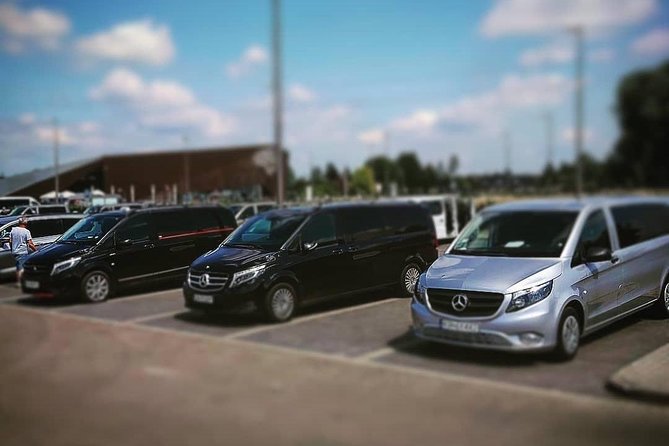 Private transfer from ROME to SORRENTO with 3 hours stopover in pompeii - Pompeii stop: how to use up to 3 hours well